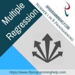Multiple regression assignment help